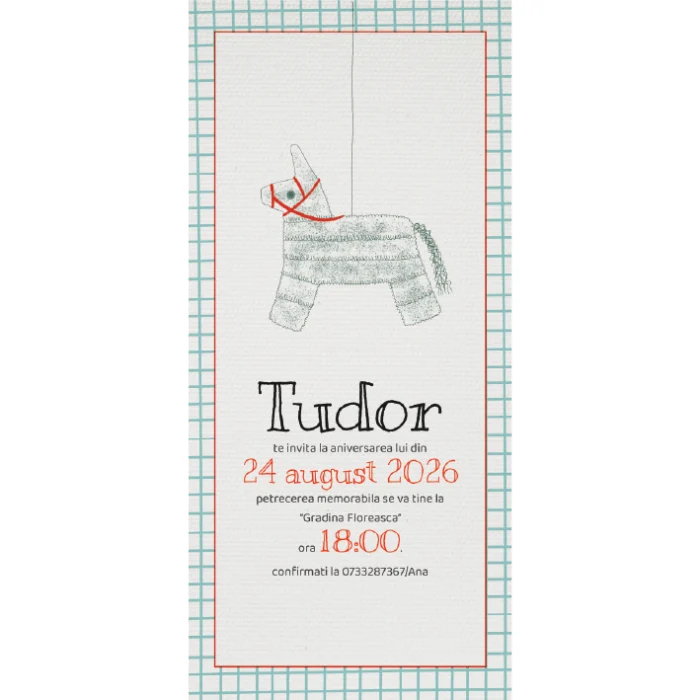 invitatie zi de nastere model A3