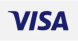 visa icon