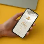 Invitatii zi de nastere copii editabile